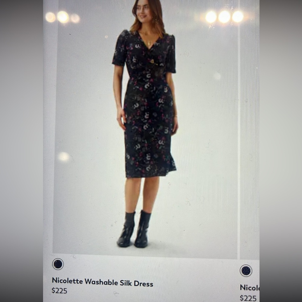 Nicolette Washable Silk Dress